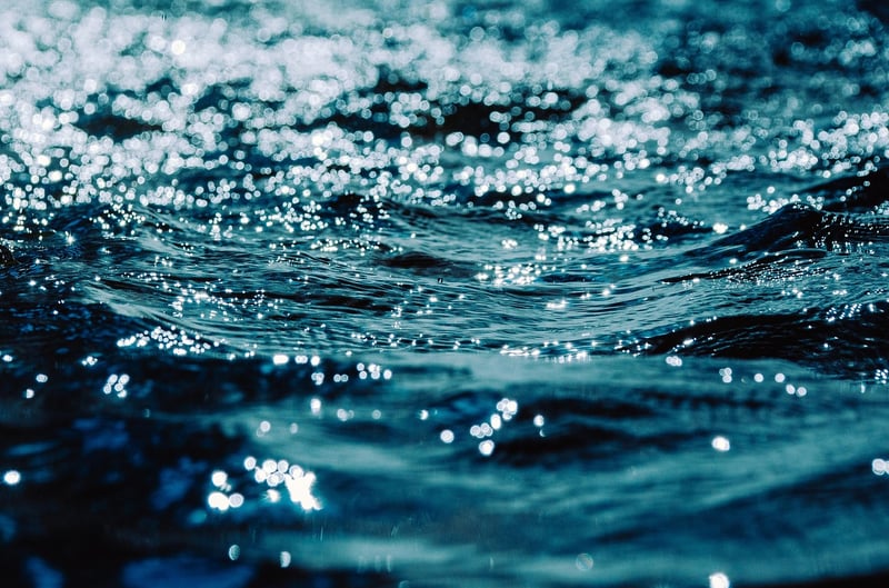 Fluid Movements